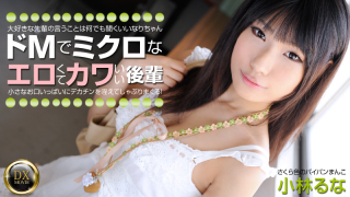 [Heyzo 0325] De M Petit Torture microscopic Erokawa junior - Runa Kobayashi